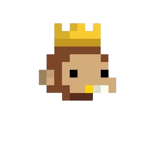 Jungle Monkey